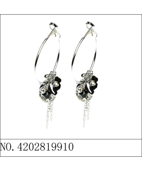 Earrings Black