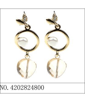 Earrings Brown