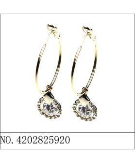 Earrings Gold