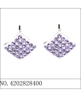 Earrings Purple