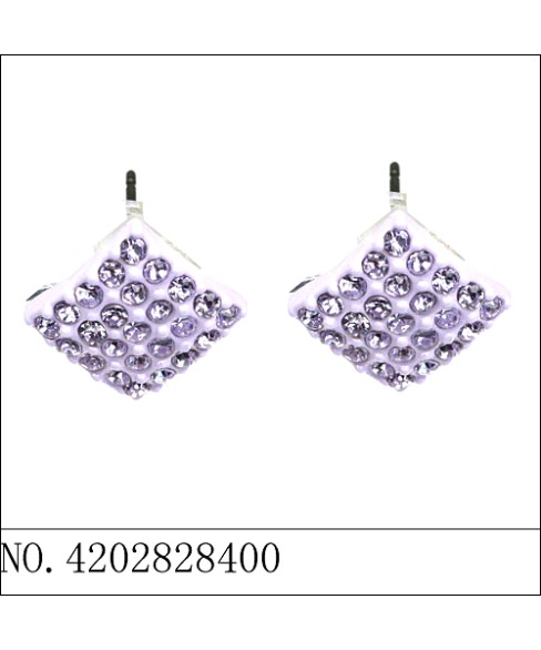 Earrings Purple