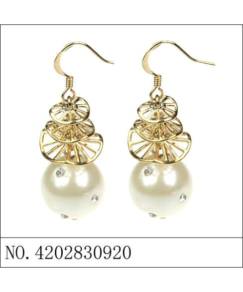 Earrings Gold