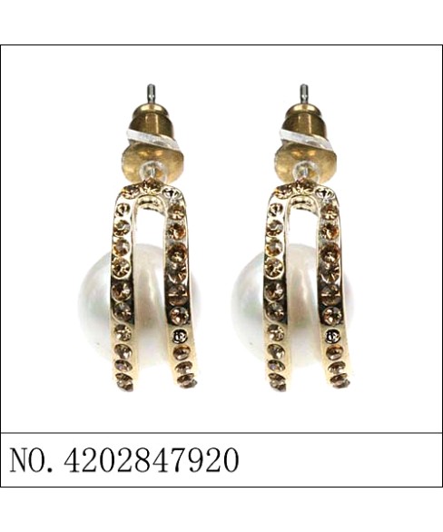 Earrings Gold