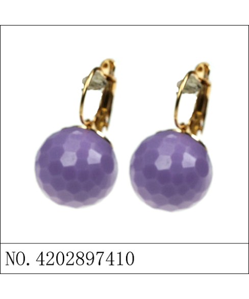 Earrings Purple