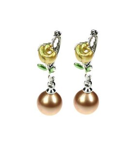 Earrings Brown 4202919800