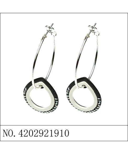 Earrings Black