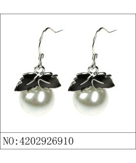 Earrings Black