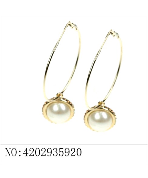 Earrings Gold