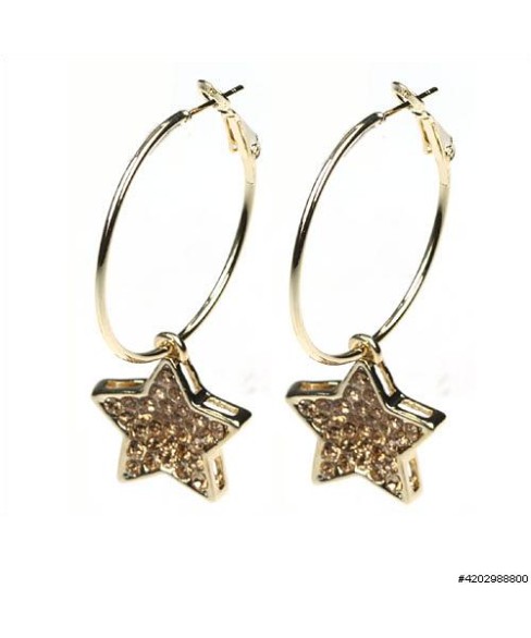 Earrings Brown