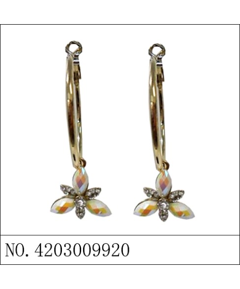 Earrings Gold