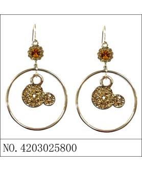 Earrings Brown