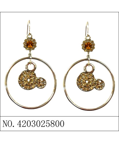 Earrings Brown