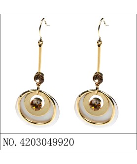 Earrings Gold