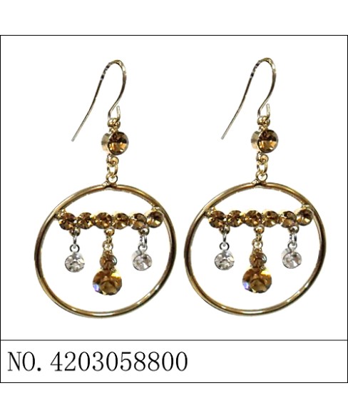 Earrings Brown