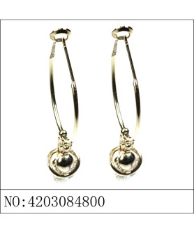 Earrings Brown