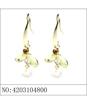 Earrings Brown