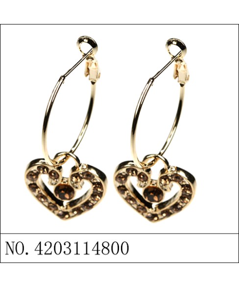 Earrings Brown