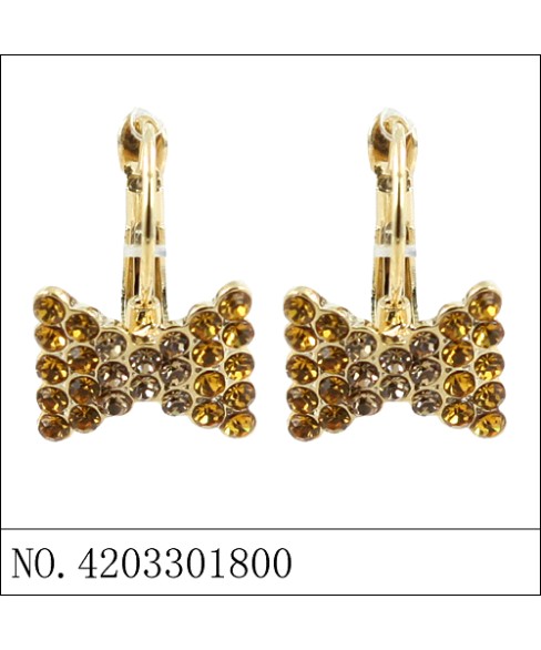 Earrings Brown