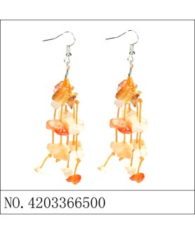 Earrings Orange