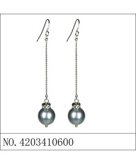 Earrings Gray