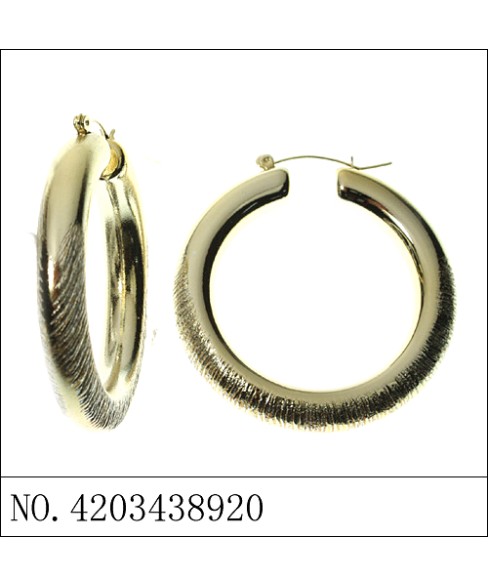 Earrings Gold