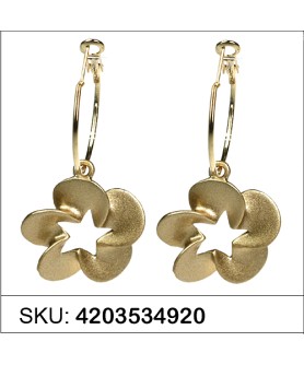 Earrings Gold