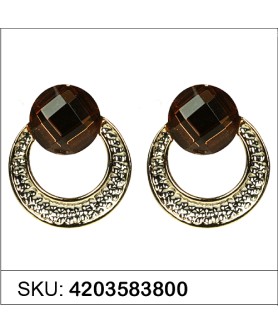 Earrings Brown