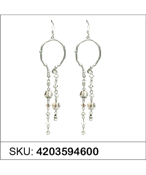 Earrings Gray