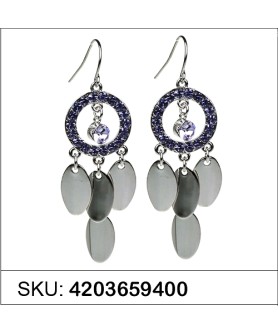 Earrings Purple