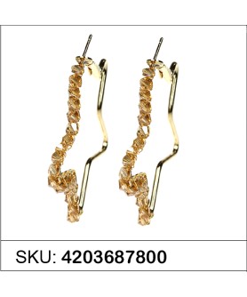 Earrings Brown