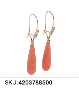 Earrings Orange