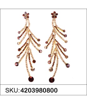 Earrings Brown