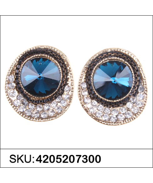 Earrings Blue