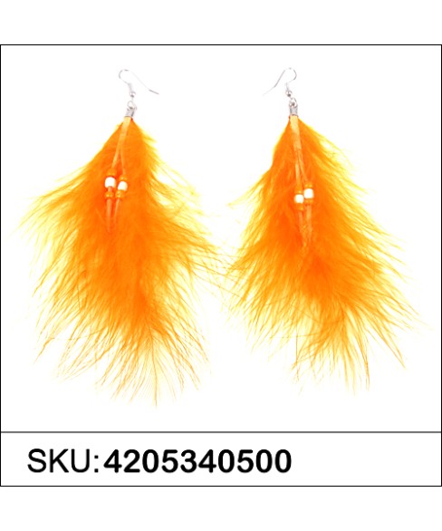 Earrings Orange