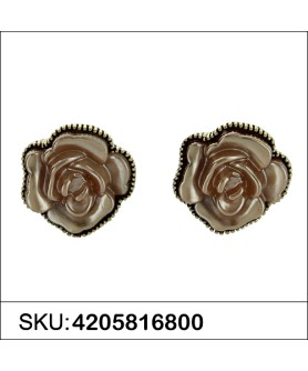 Earrings Brown