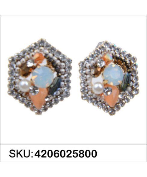 Earrings Brown