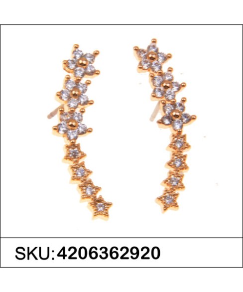 Earrings Gold