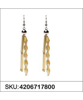 Earrings Brown