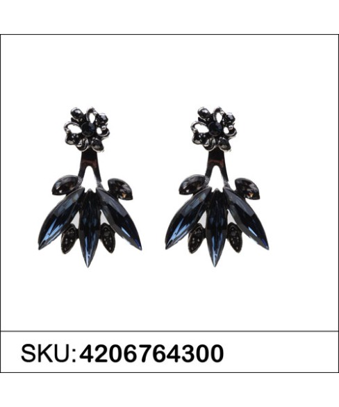 Earrings Blue