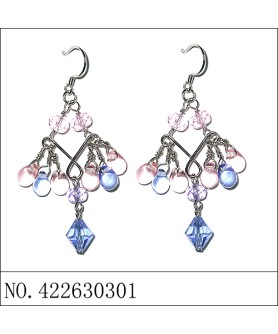 Earrings Blue