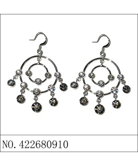 Earrings Black