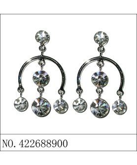 Earrings White