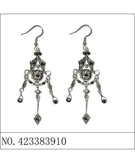 Earrings Black