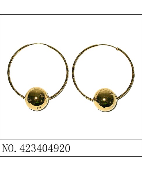 Earrings Gold