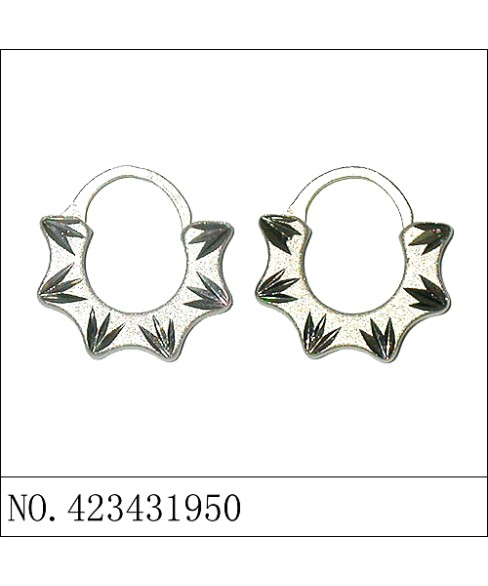 Earrings White Gold