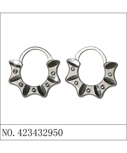 Earrings White Gold