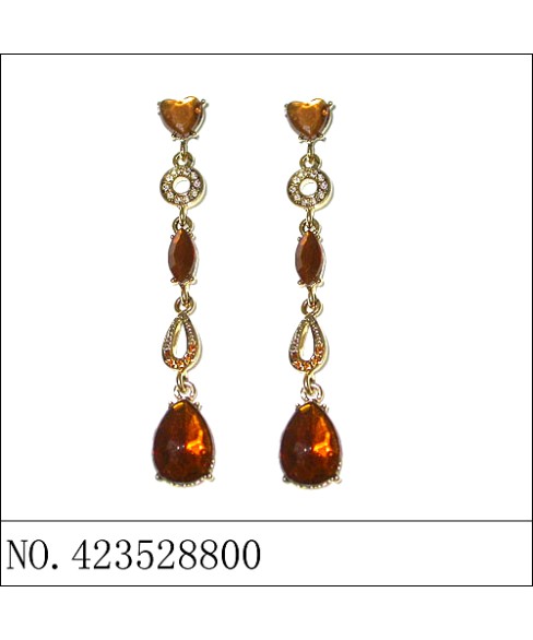 Earrings Brown