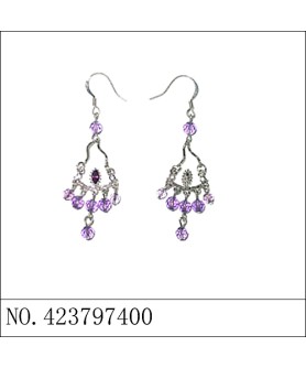 Earrings Purple