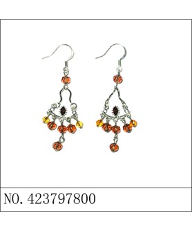 Earrings Brown