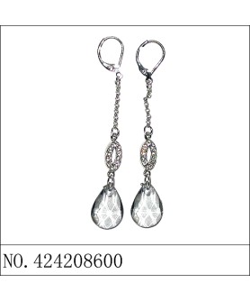 Earrings Gray